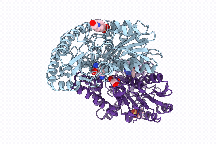 9X5B image