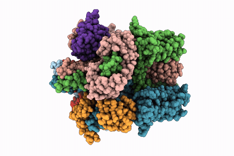 9X5J image