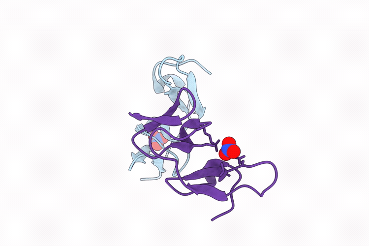 9X64 image