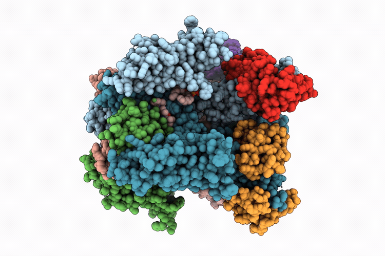 9X65 image