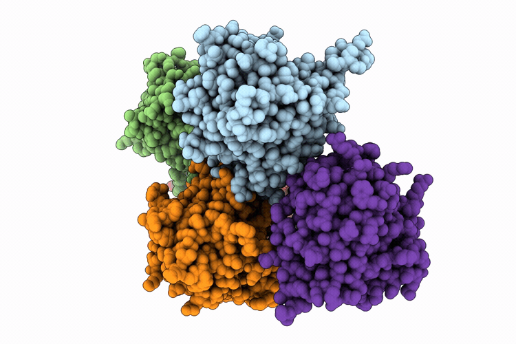 9X6A image
