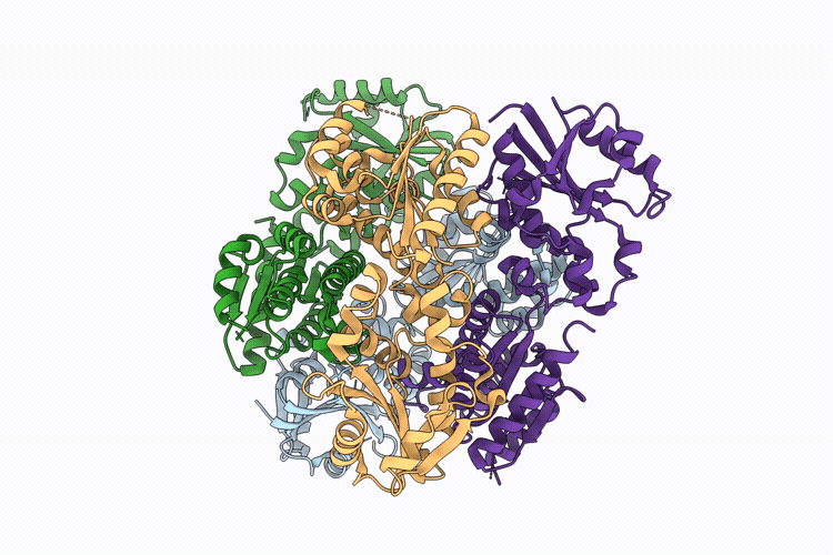 9X6H image