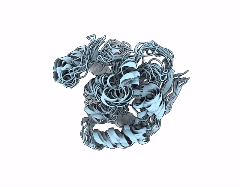 9X70 image