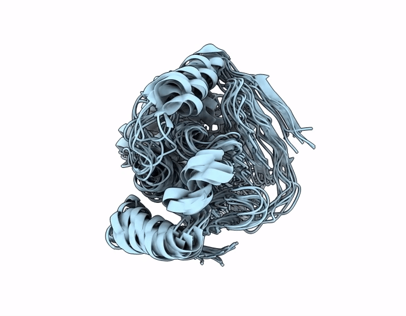 9X71 image