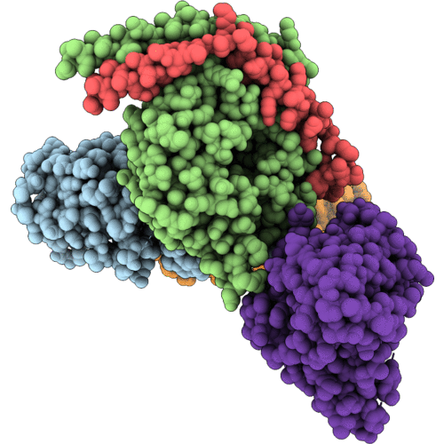 9X74 image