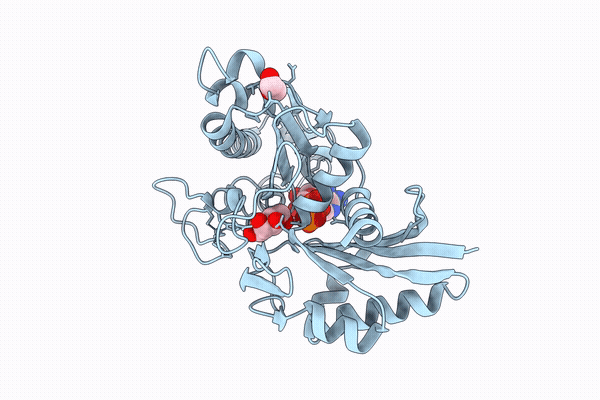 9X77 image