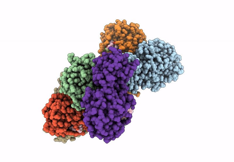 9X7D image