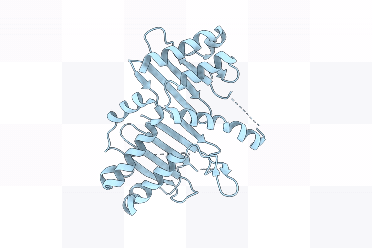 9X86 image
