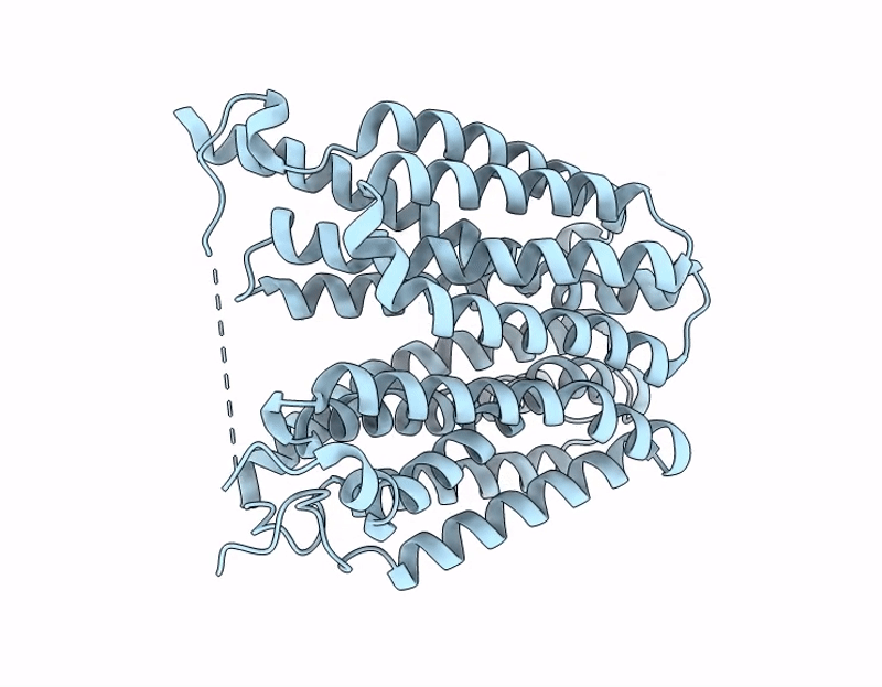 9X95 image