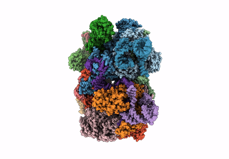 9X9B image