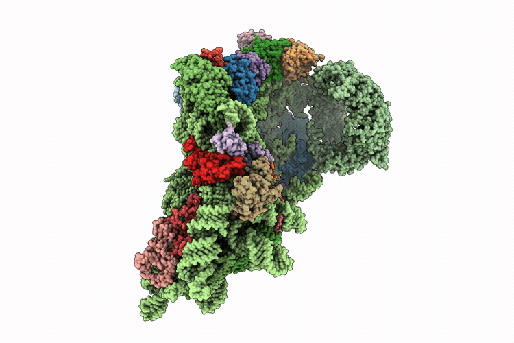 9XAC image