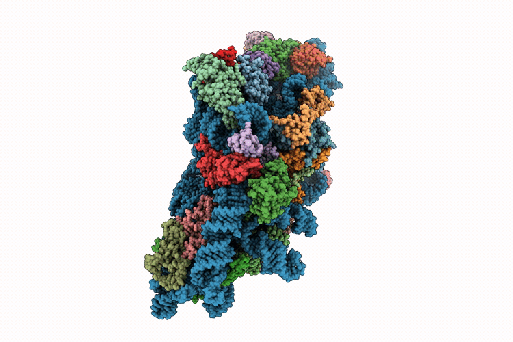 9XAE image