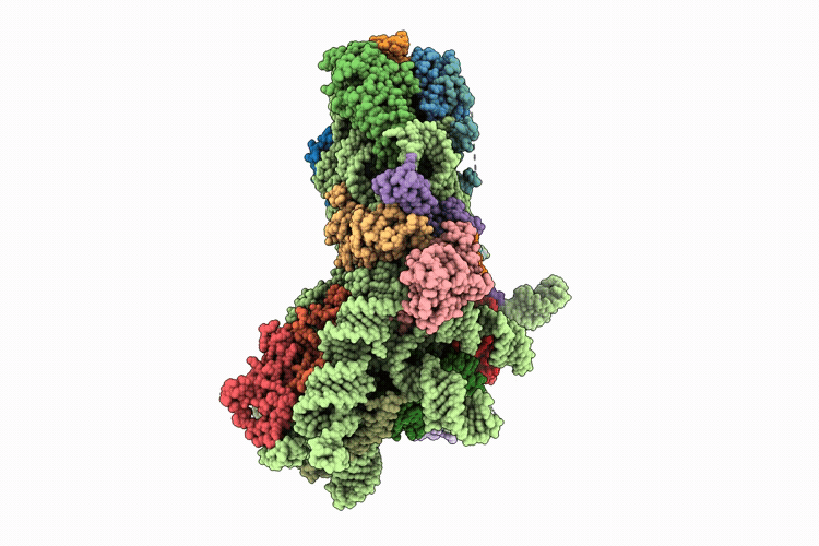 9XAI image