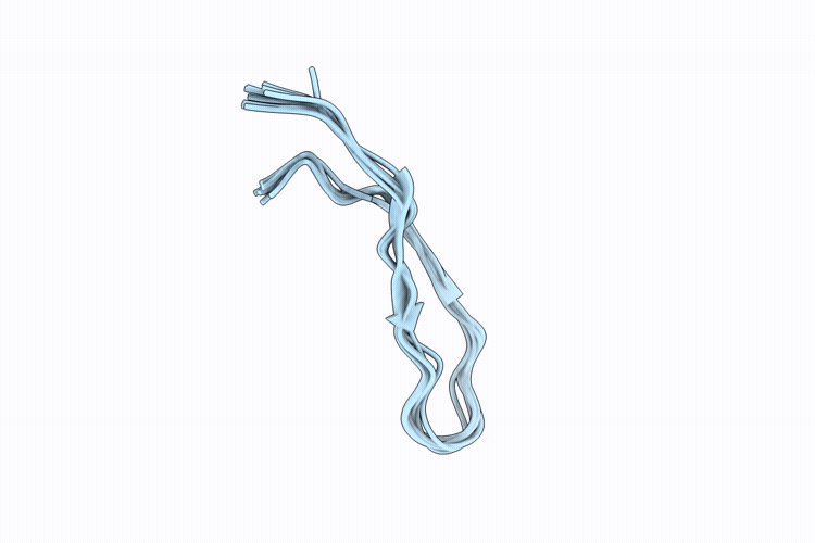 9XAO image
