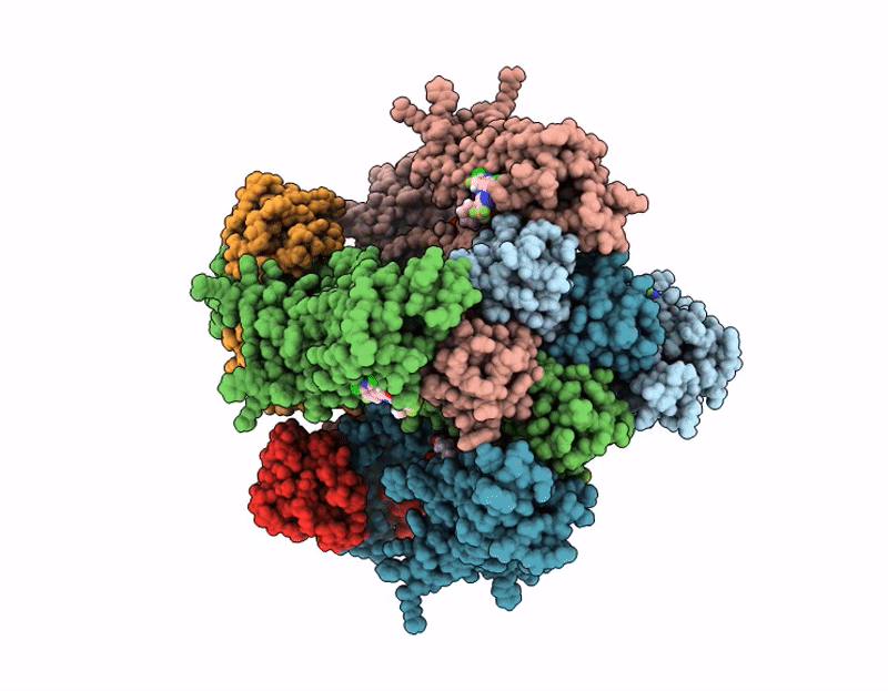 9XB9 image