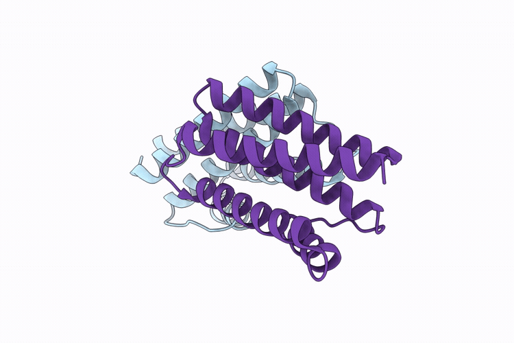 9XBC image