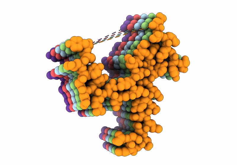 9XBN image
