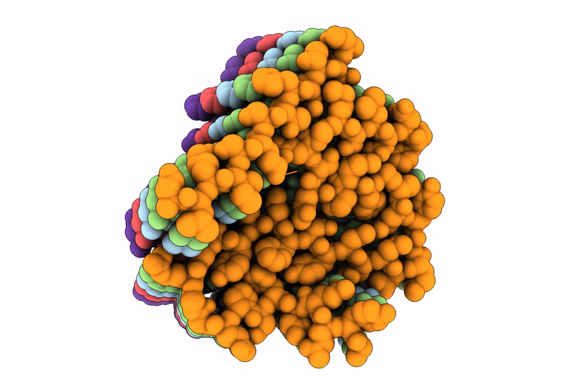 9XBP image