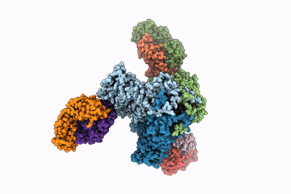 9XC1 image