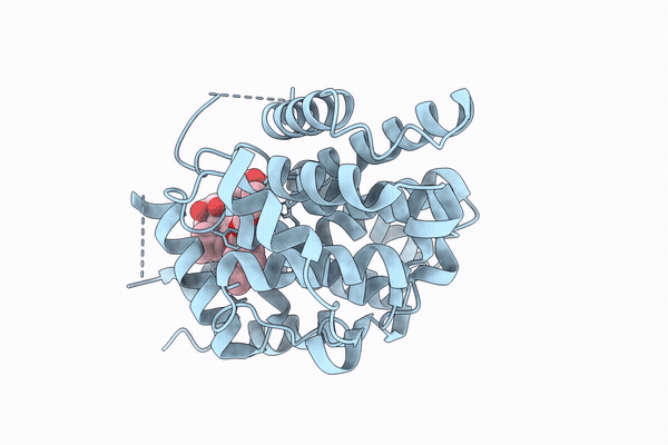 9XC4 image