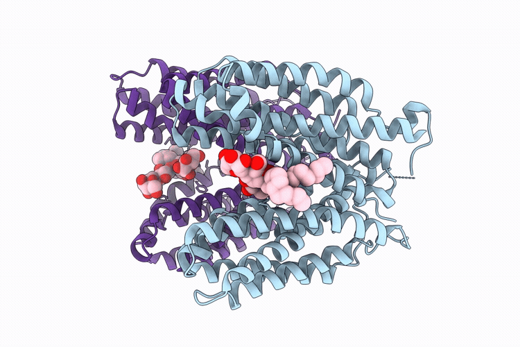 9XCA image