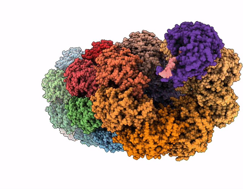 9XCG image