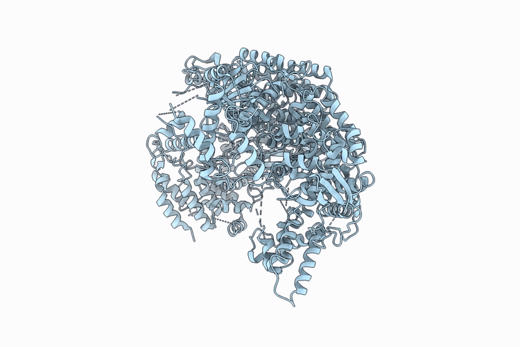9XD4 image