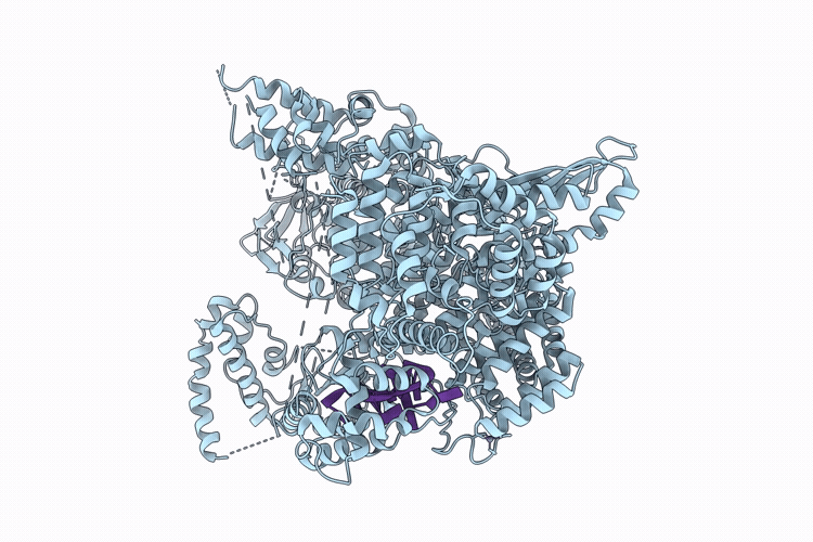 9XD5 image