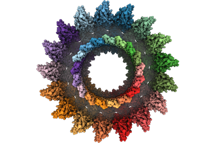 9XDA image