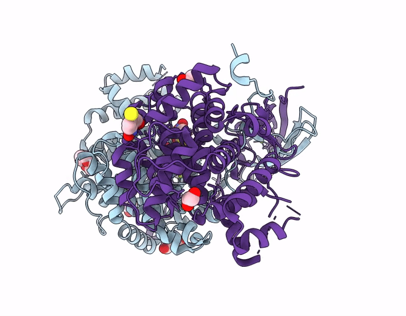 9XDG image
