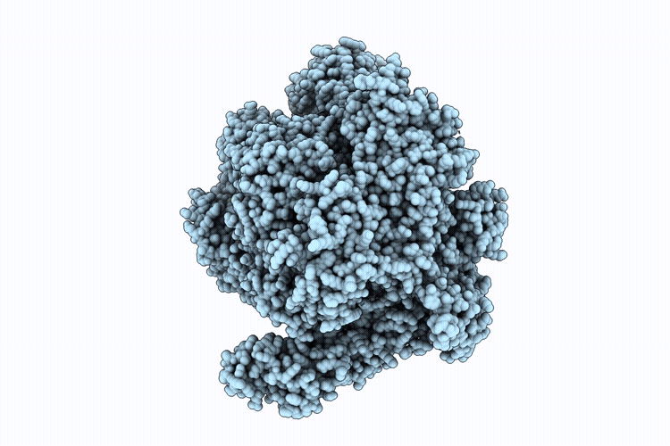 9XEC image
