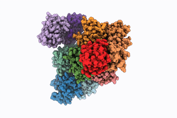 9XEJ image