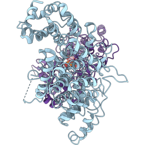 9XFH image
