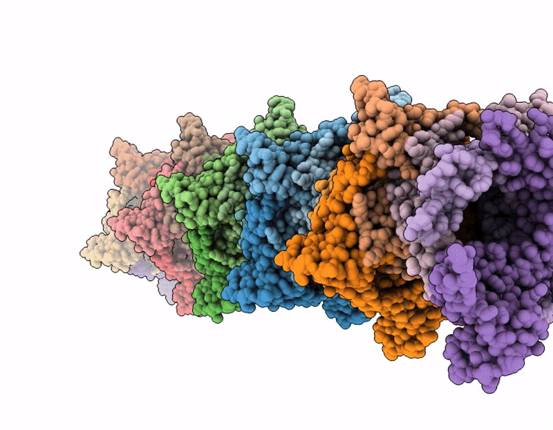 9XFV image