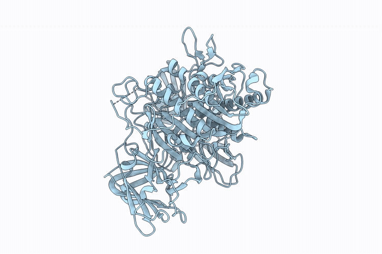 9XG1 image