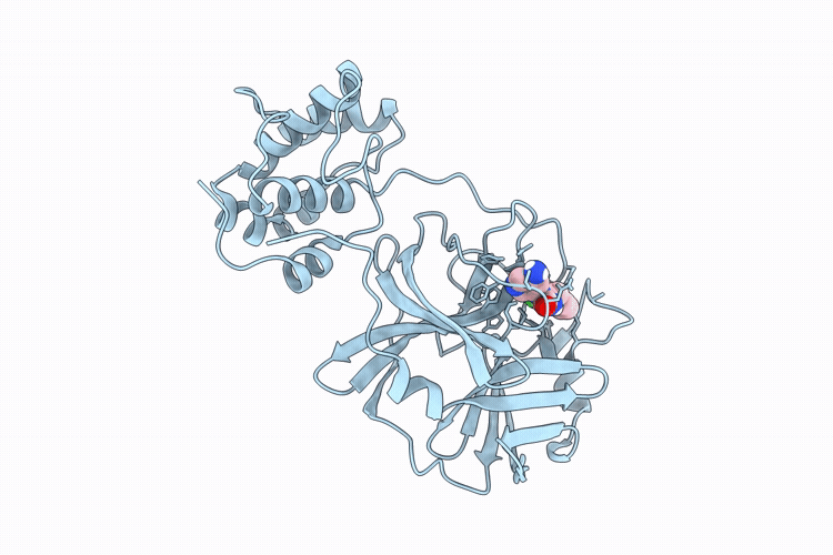 9XG4 image