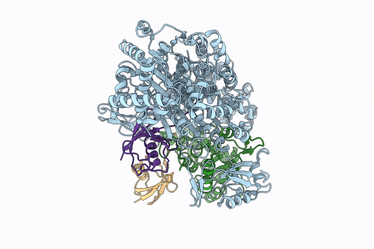 9XGC image