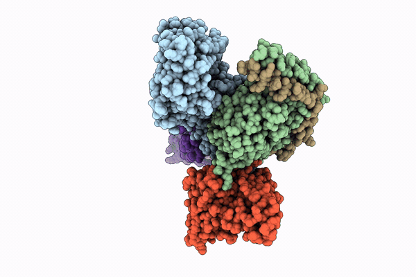 9XH2 image