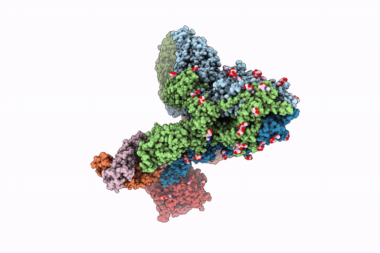9XHZ image
