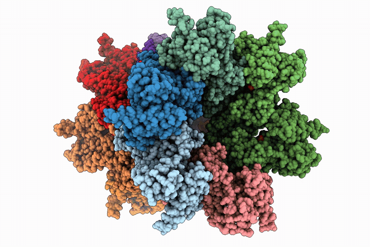 9XIR image