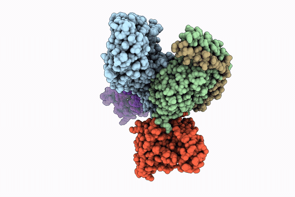 9XJ7 image