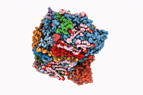 9XK3 image