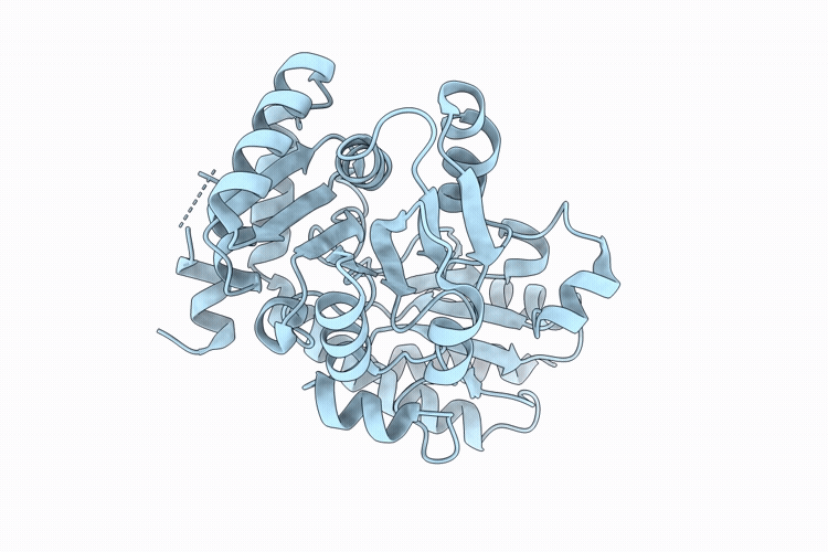 9XLU image