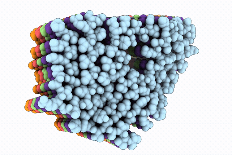 9XMI image
