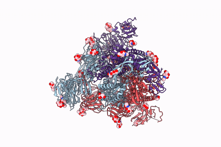 9XO5 image