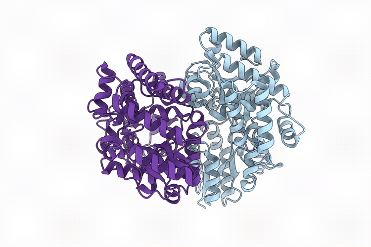 9XOR image
