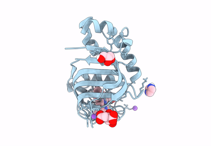 9XPD image