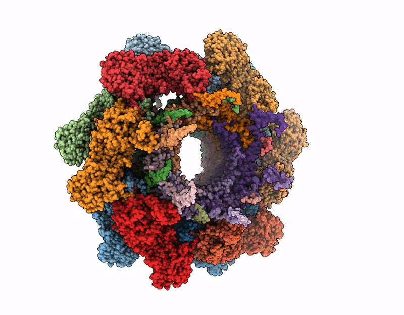 9XPF image