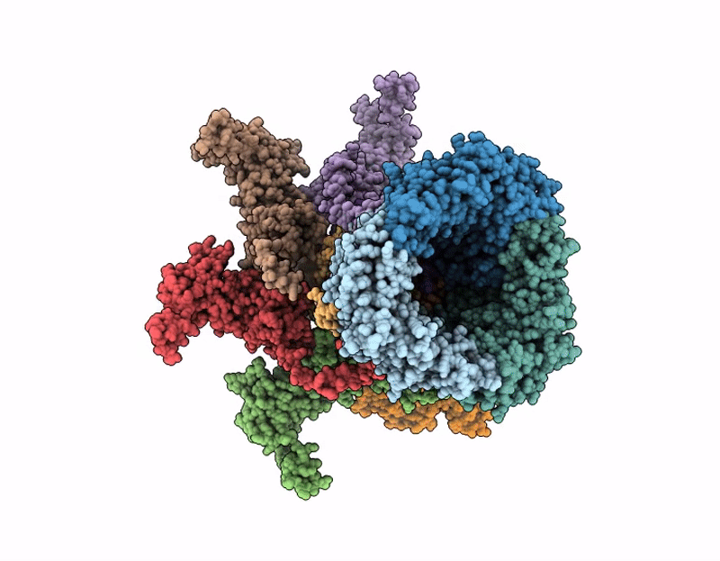 9XPH image