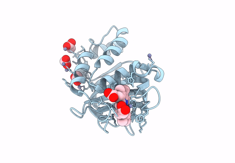 9XPI image